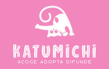 Asociación Gatos Bizkaia Katumichi