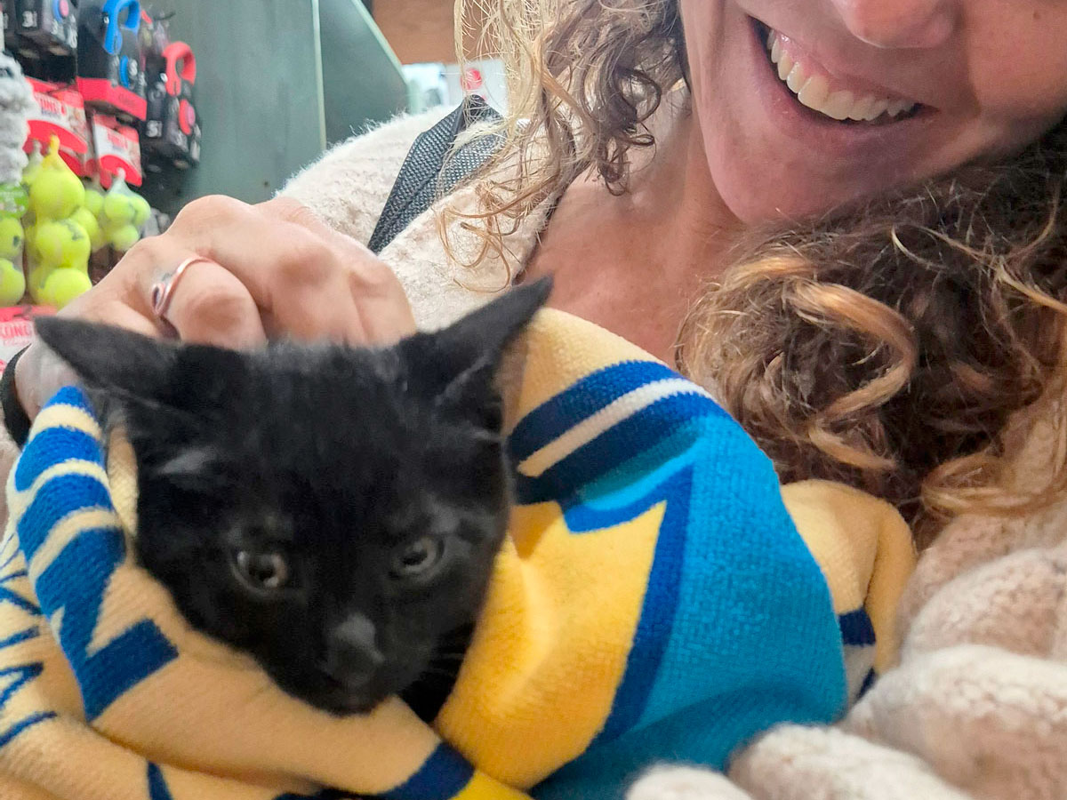 Asociación Gatos Bizkaia Katumichi