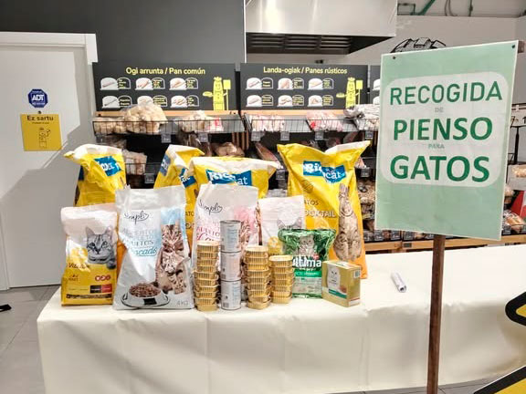 Asociación Gatos Bizkaia Katumichi