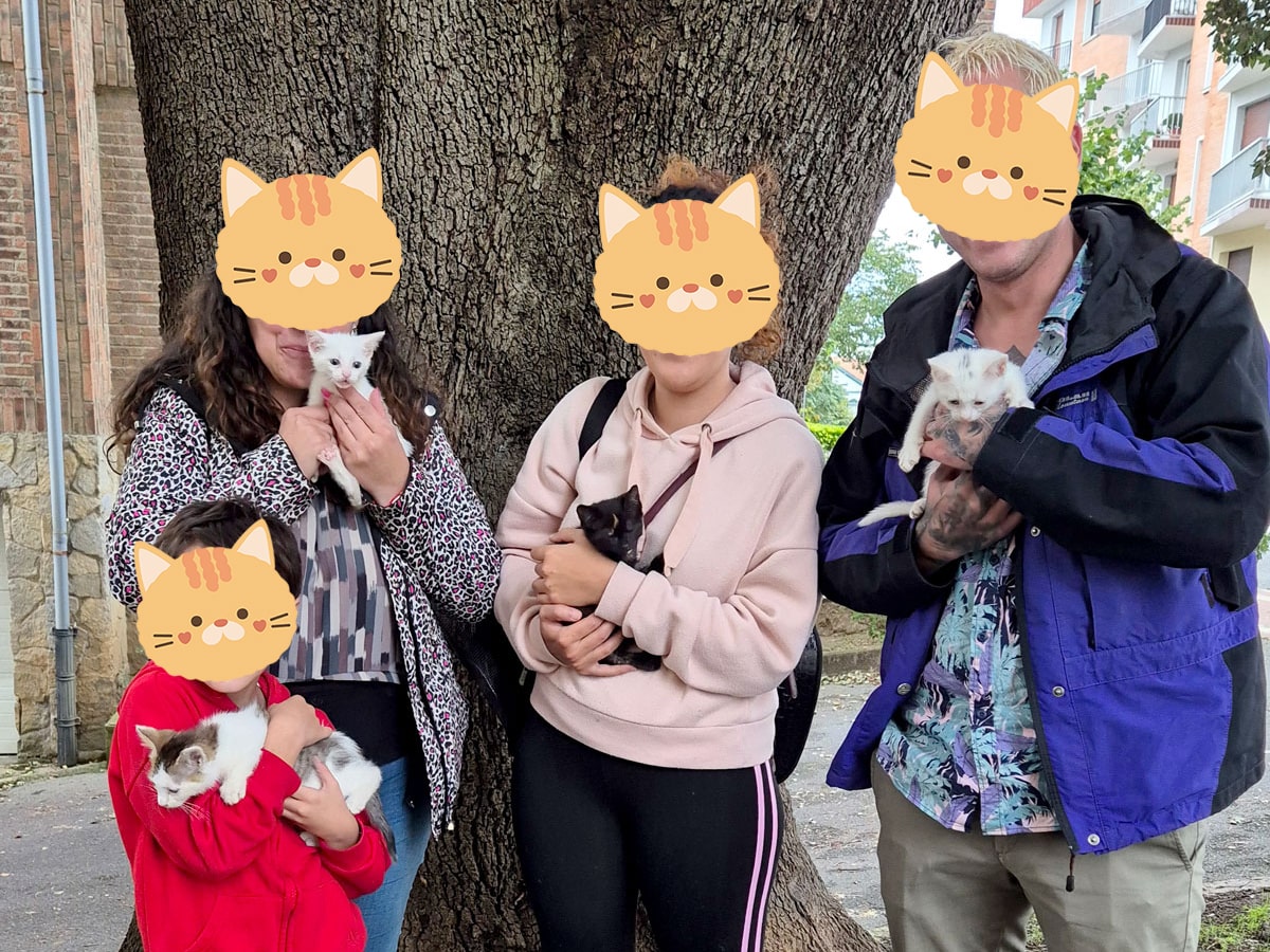 Asociación Gatos Bizkaia Katumichi