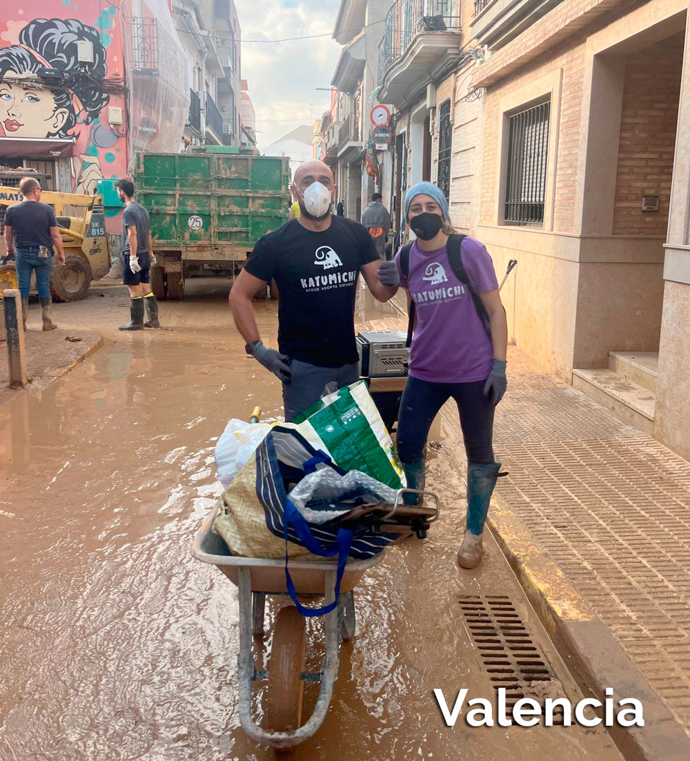 Asociación Gatos Bizkaia Katumichi