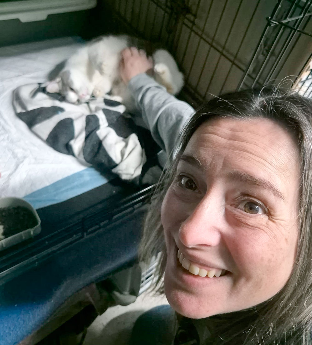 Asociación Gatos Bizkaia Katumichi