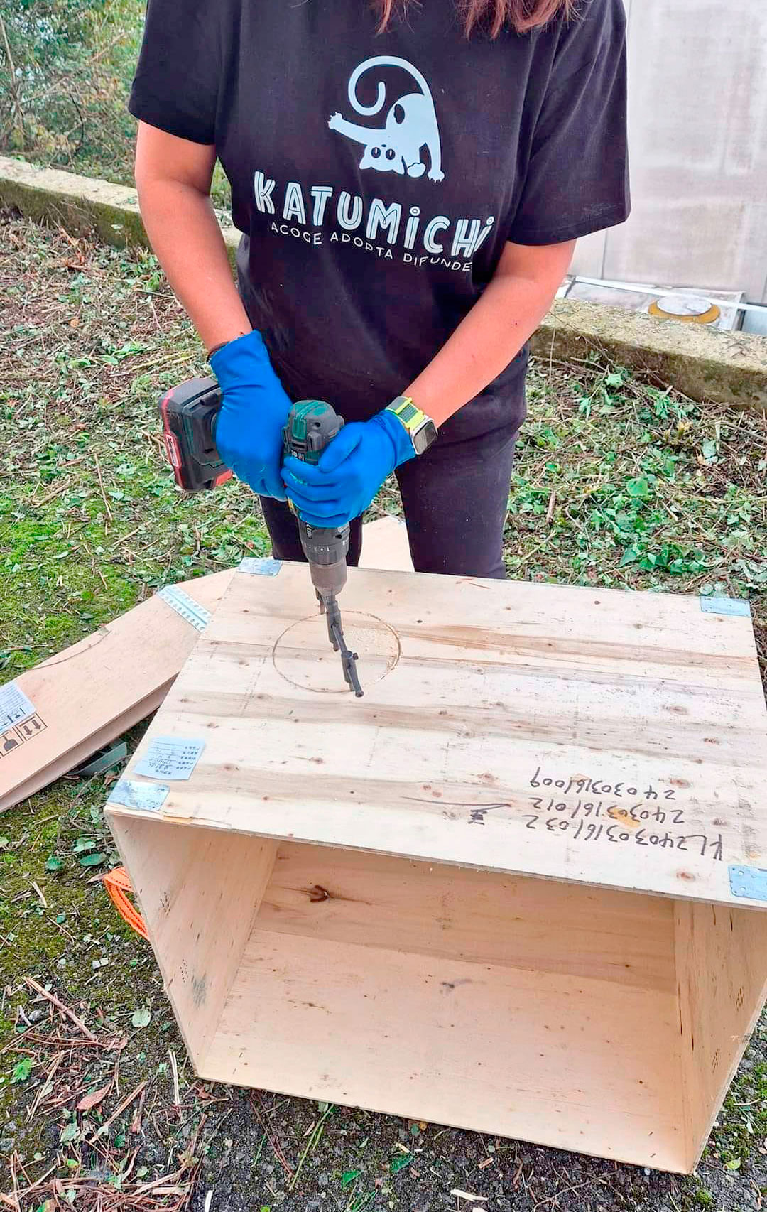 Asociación Gatos Bizkaia Katumichi