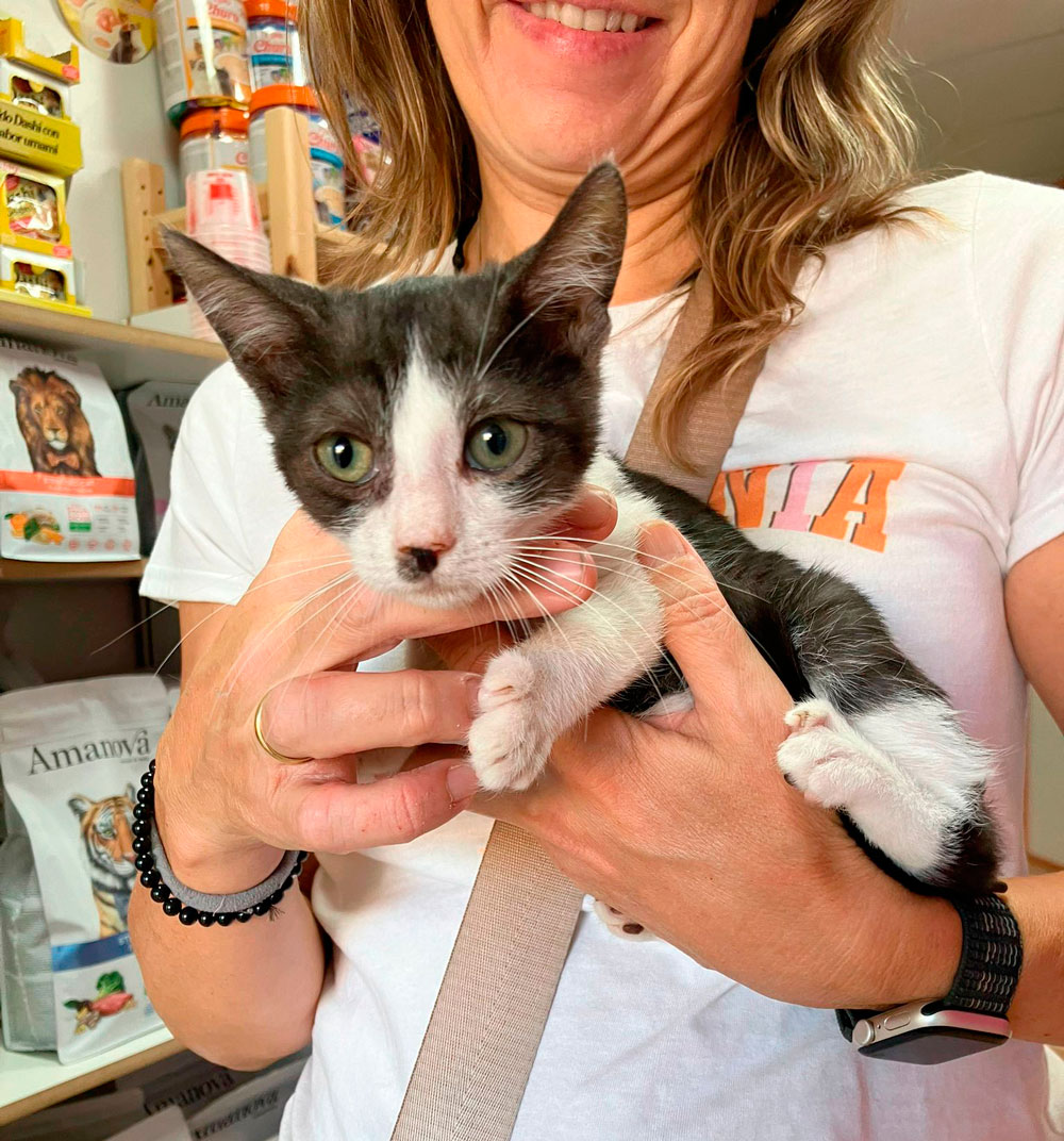 Asociación Gatos Bizkaia Katumichi