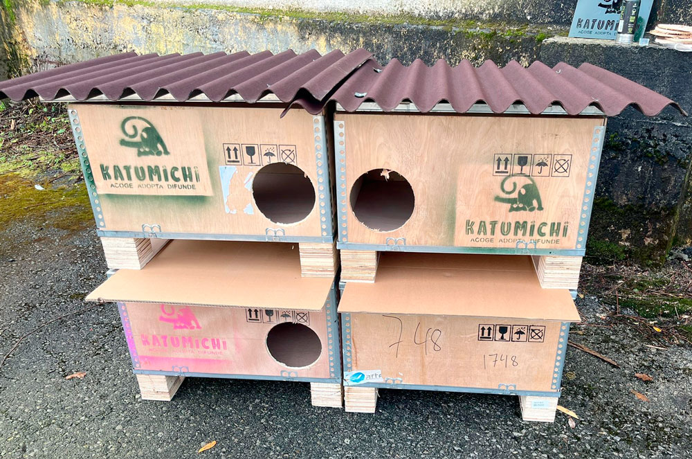 Asociación Gatos Bizkaia Katumichi