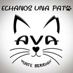 Asociación Gatos Bizkaia Katumichi