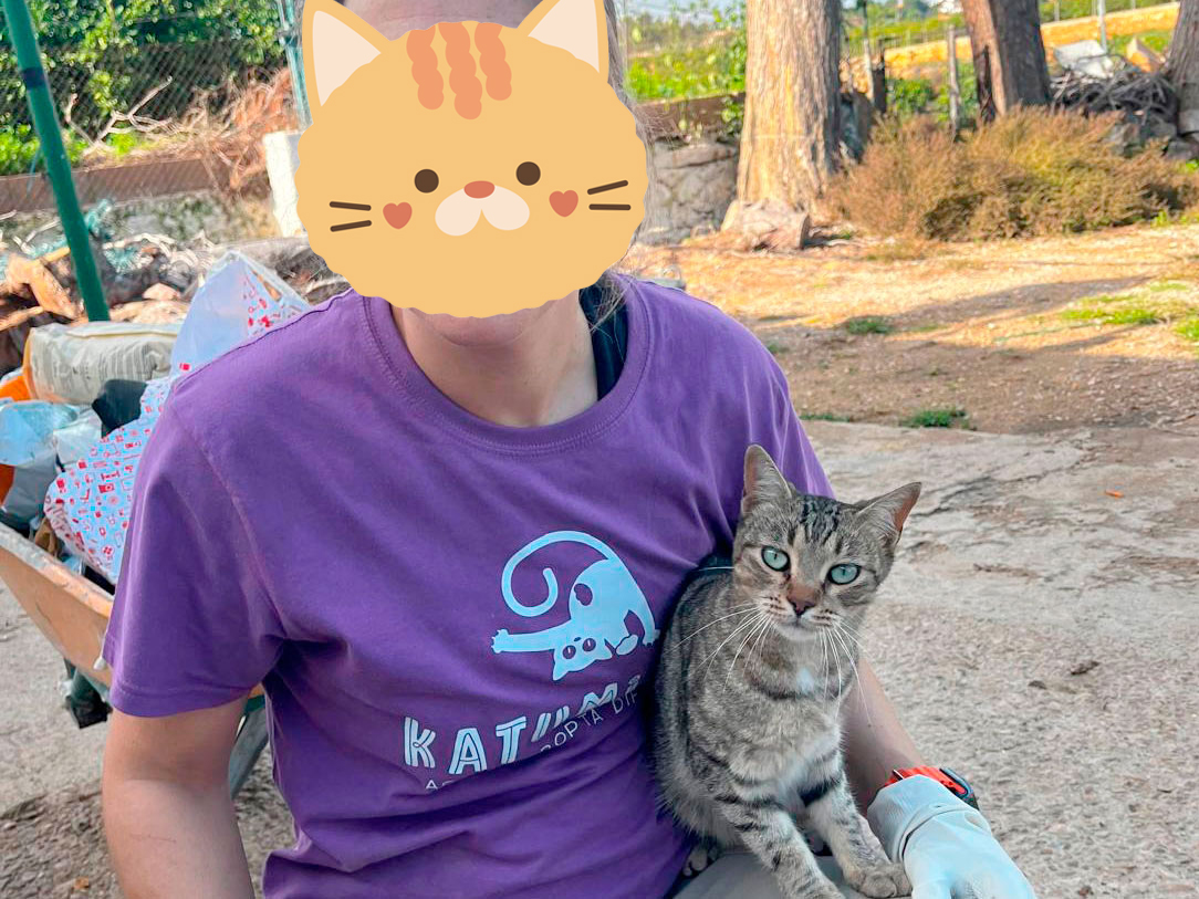 Asociación Gatos Bizkaia Katumichi